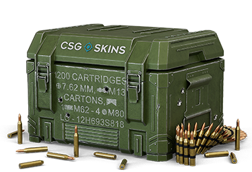 Ammo Case