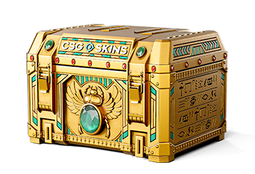 Medium Case