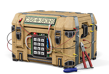 C4 Case