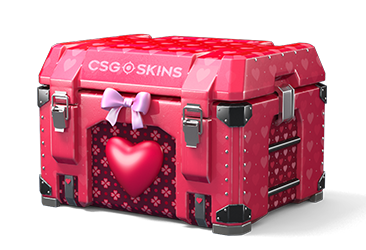 Lovely Case