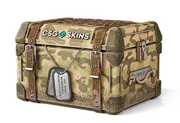 Military Case