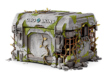 Ruined Case
