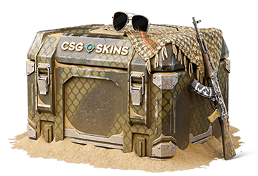 Sandstorm Case